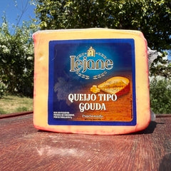 Queijo Gouda Jovem Lejane - 200g