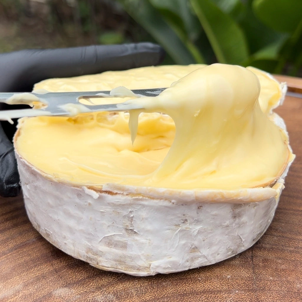 Queijo Morro Azul - 450g