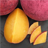 Queijo Giramundo - 200g