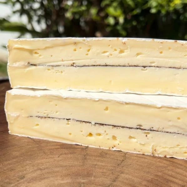 Queijo Tipo Brie Trufado - 150g