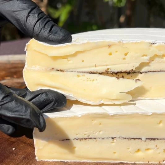 Queijo Tipo Brie Trufado - 150g